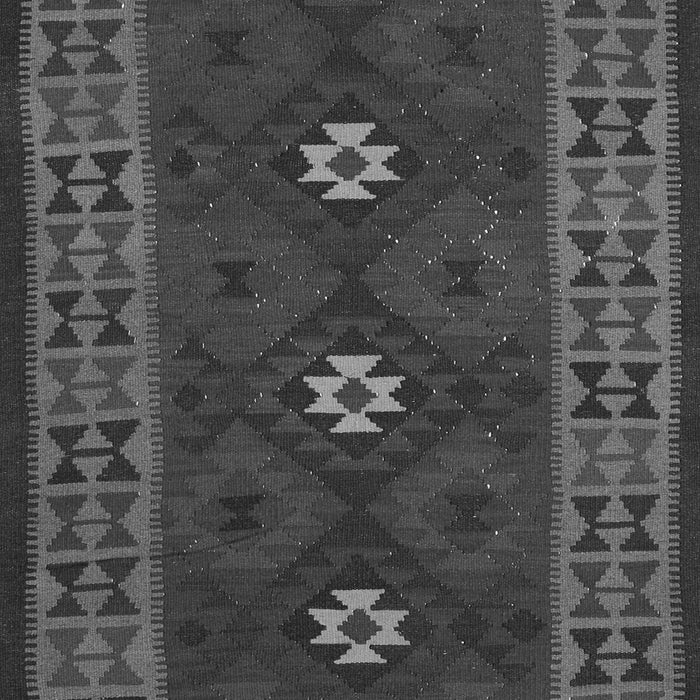 Oriental Gray Traditional Rug, con1630gry