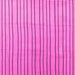 Square Solid Pink Modern Rug, con1643pnk