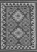 Oriental Gray Traditional Rug, con1646gry