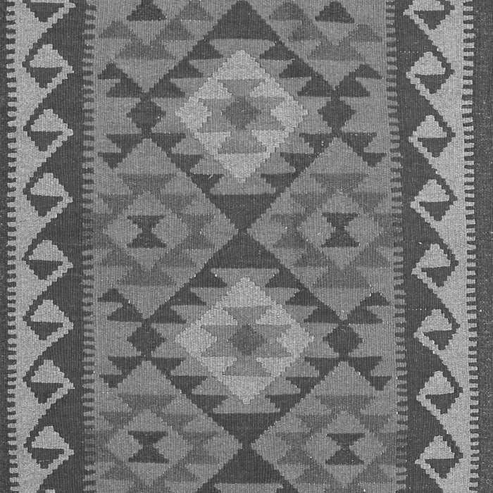 Oriental Gray Traditional Rug, con1646gry