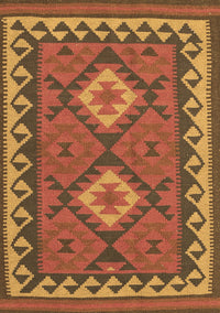 Oriental Brown Traditional Rug, con1646brn