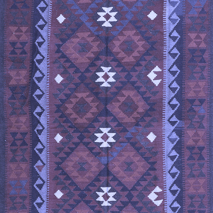 Oriental Blue Traditional Rug, con1649blu