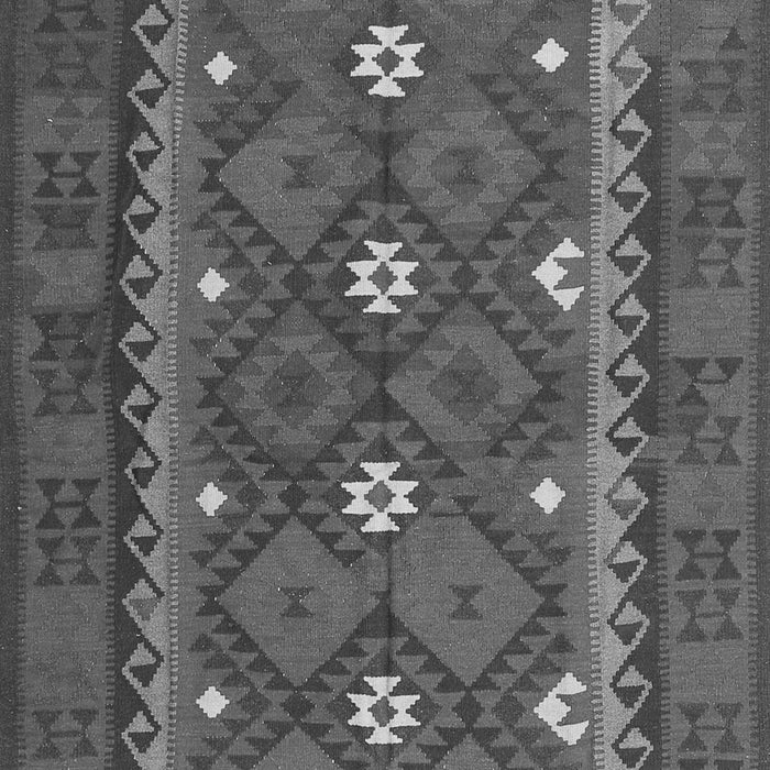 Oriental Gray Traditional Rug, con1649gry
