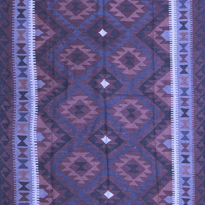 Oriental Blue Traditional Rug, con1651blu