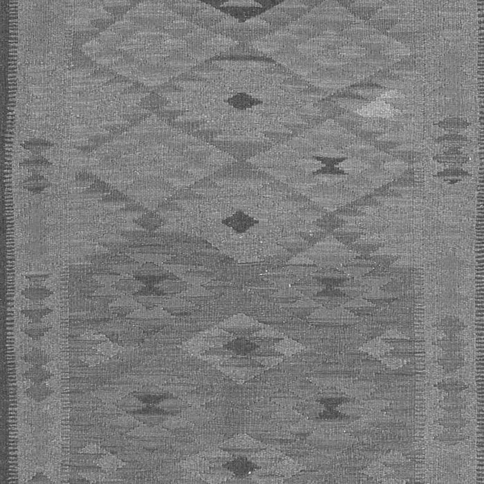 Oriental Gray Traditional Rug, con1656gry