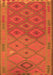 Oriental Orange Traditional Rug, con1656org