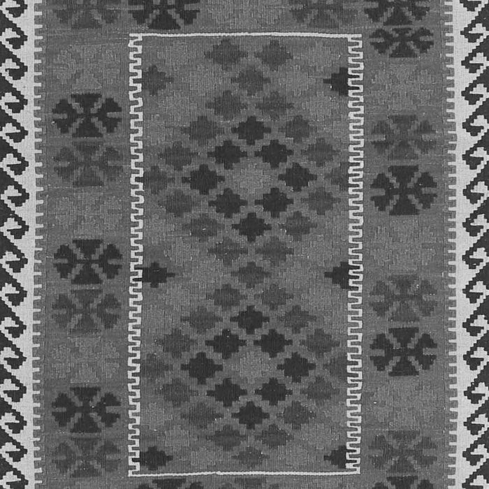 Oriental Gray Traditional Rug, con1657gry