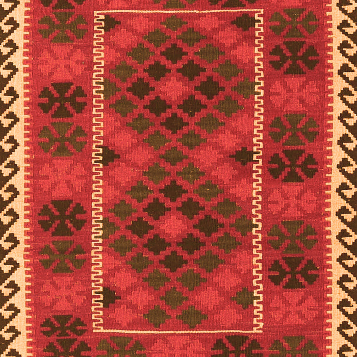Oriental Orange Traditional Rug, con1657org