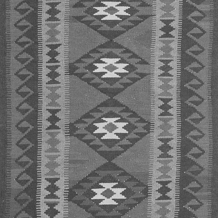 Oriental Gray Traditional Rug, con1658gry