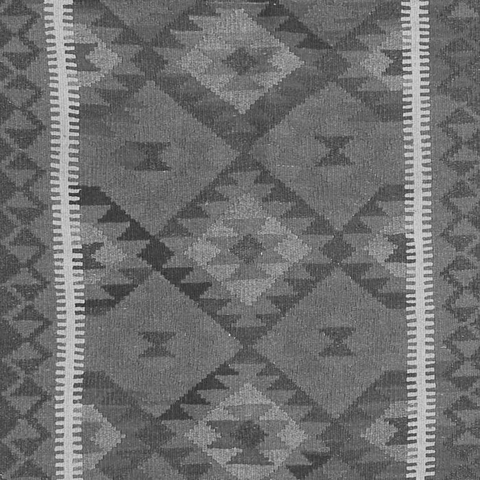 Oriental Gray Traditional Rug, con1659gry