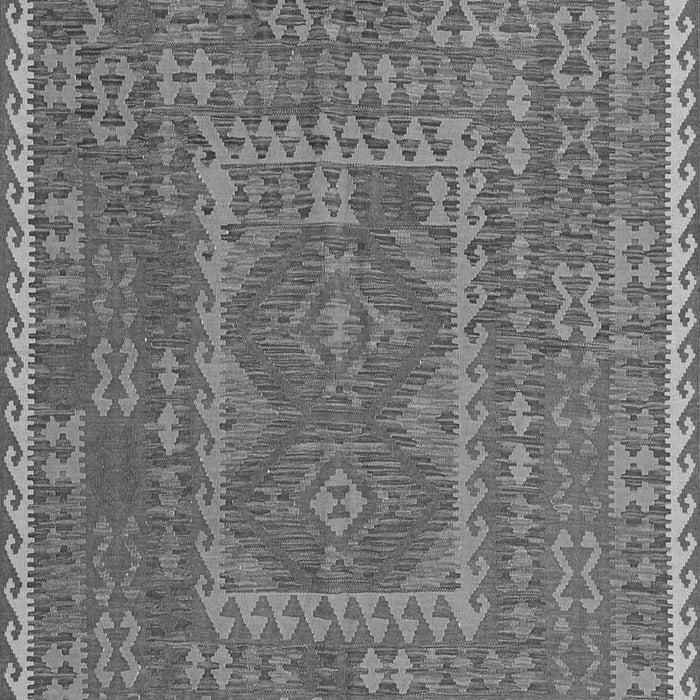 Oriental Gray Traditional Rug, con1662gry