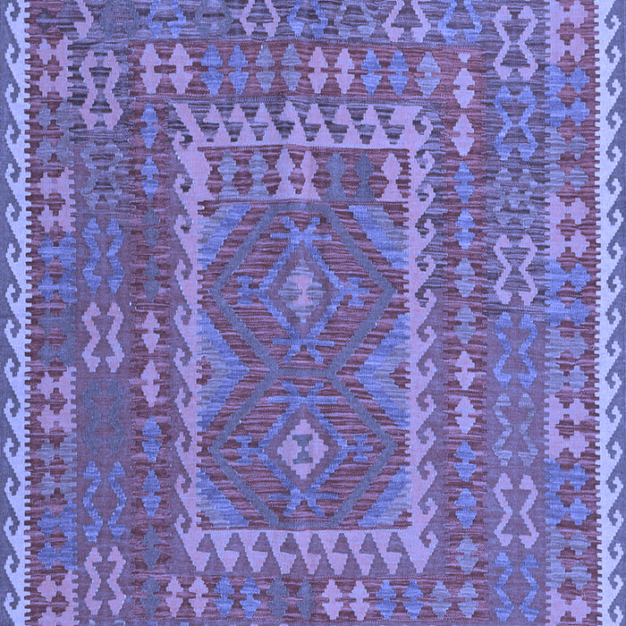 Oriental Blue Traditional Rug, con1662blu