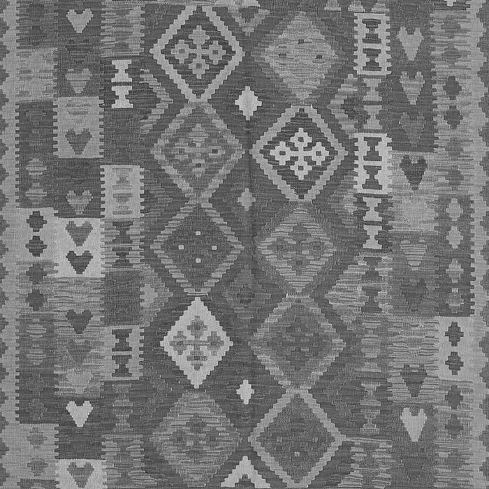 Oriental Gray Traditional Rug, con1673gry