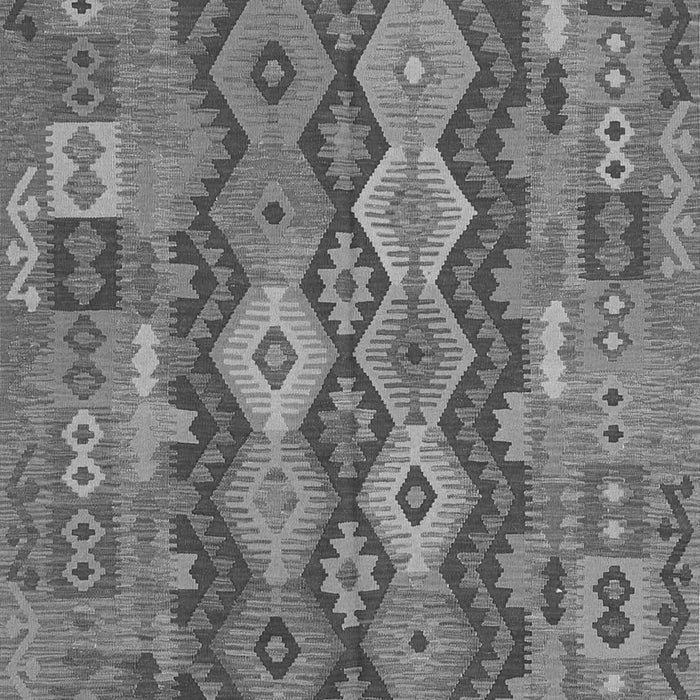 Oriental Gray Traditional Rug, con1674gry