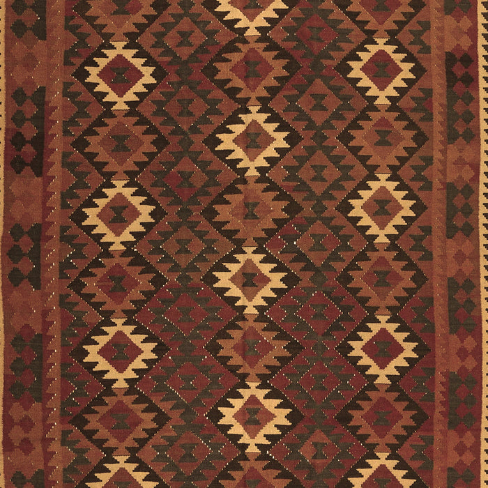 Oriental Brown Traditional Rug, con1675brn