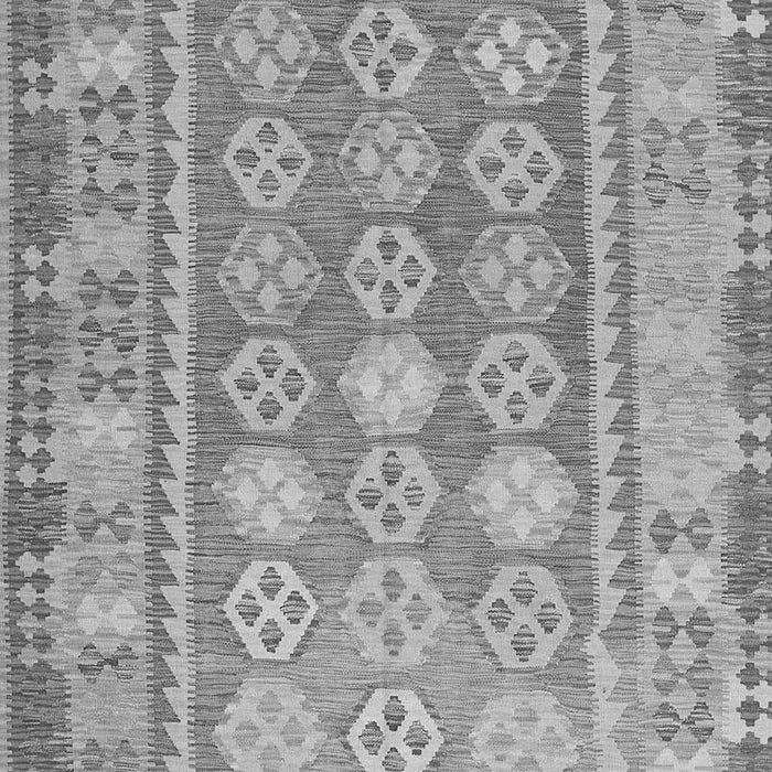 Oriental Gray Traditional Rug, con1678gry