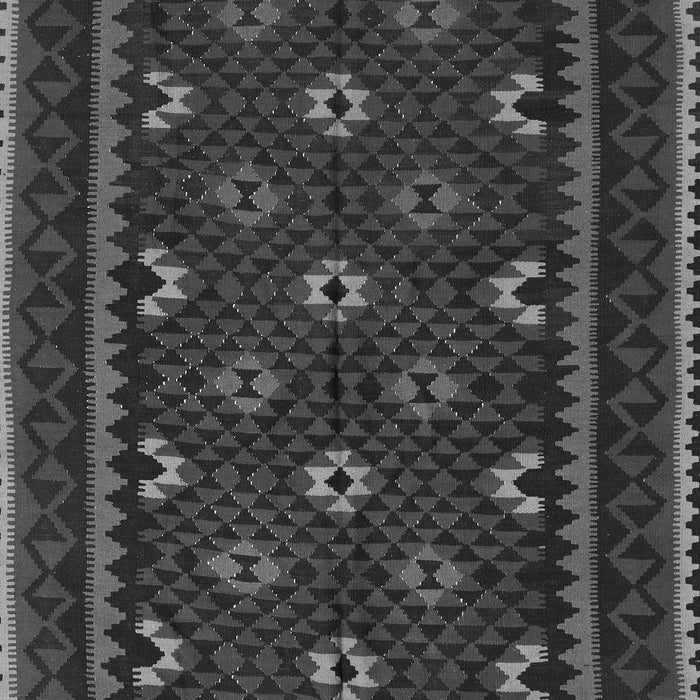 Oriental Gray Traditional Rug, con1679gry