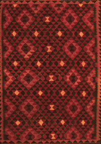 Oriental Orange Traditional Rug, con1680org