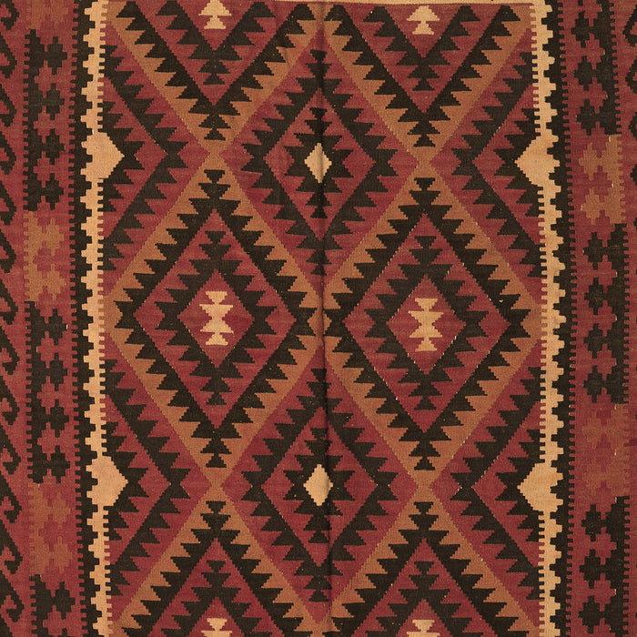 Oriental Brown Traditional Rug, con1681brn