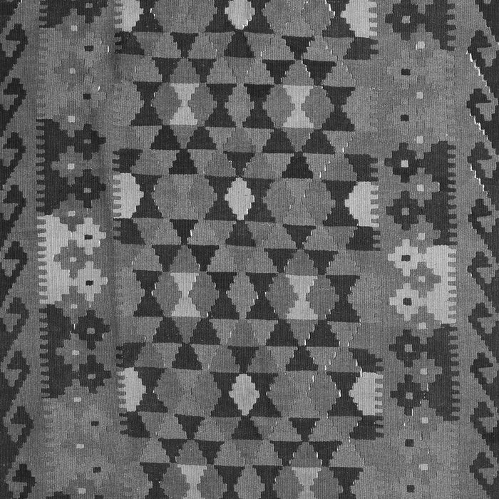 Oriental Gray Traditional Rug, con1688gry