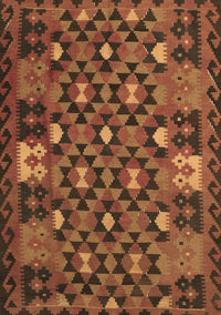 Oriental Brown Traditional Rug, con1688brn