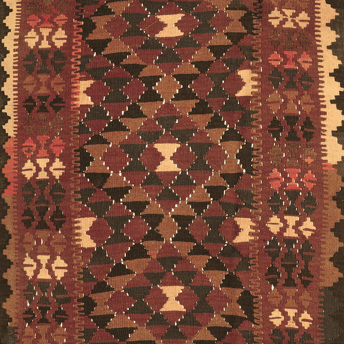 Oriental Brown Traditional Rug, con1690brn