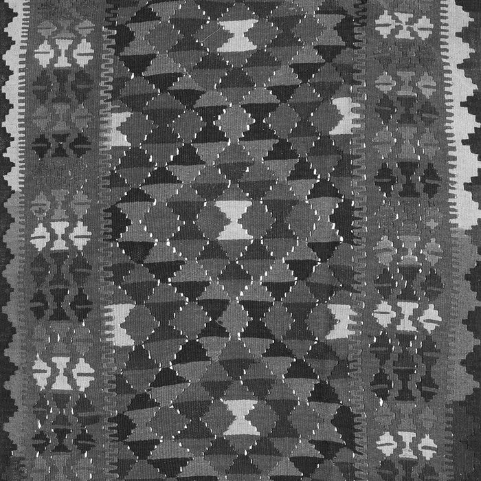 Oriental Gray Traditional Rug, con1690gry