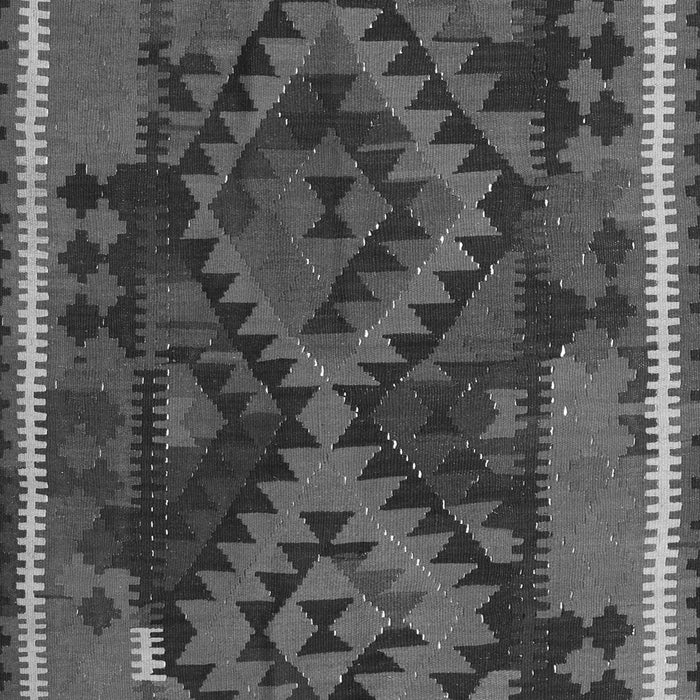 Oriental Gray Traditional Rug, con1691gry