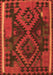 Oriental Orange Traditional Rug, con1691org