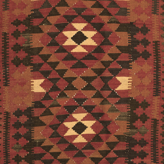 Oriental Brown Traditional Rug, con1694brn