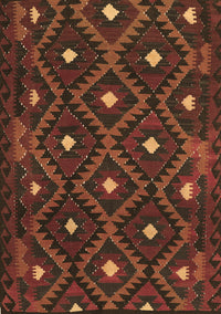 Oriental Brown Traditional Rug, con1717brn