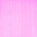 Square Solid Pink Modern Rug, con172pnk