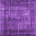 Square Abstract Purple Contemporary Rug, con1730pur