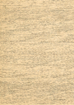 Abstract Brown Contemporary Rug, con1744brn