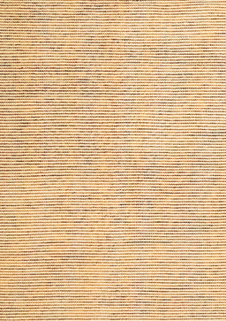 Abstract Brown Contemporary Rug, con1748brn