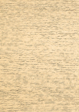 Abstract Brown Contemporary Rug, con1749brn