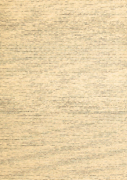Abstract Brown Contemporary Rug, con1753brn