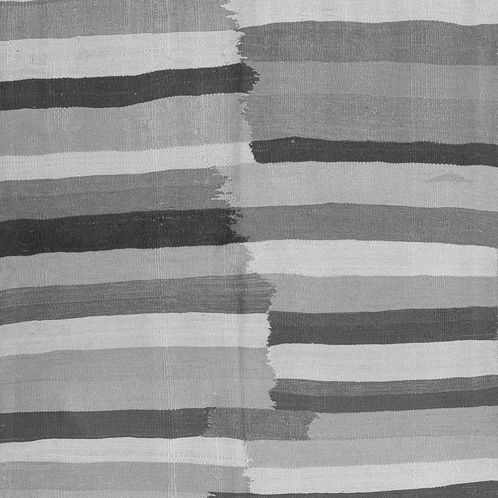 Oriental Gray Traditional Rug, con1756gry