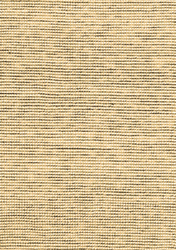 Abstract Brown Contemporary Rug, con1762brn