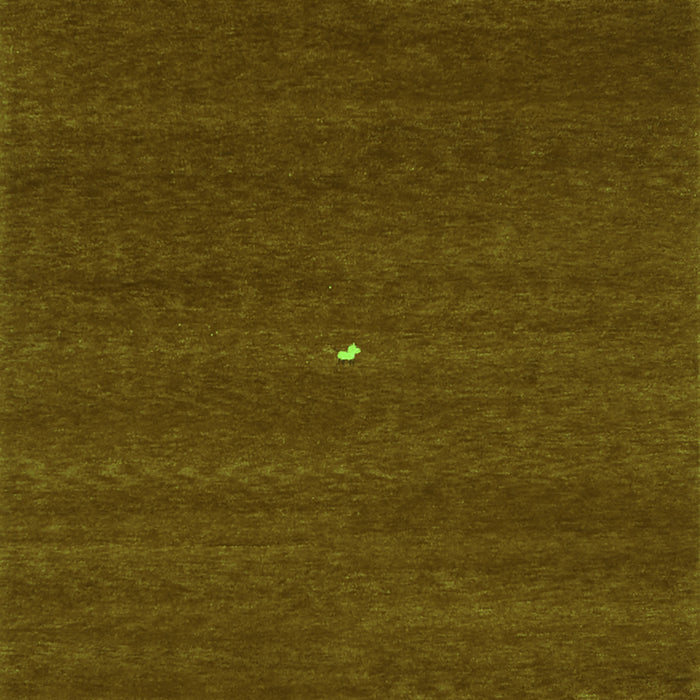 Abstract Green Contemporary Rug, con1813grn