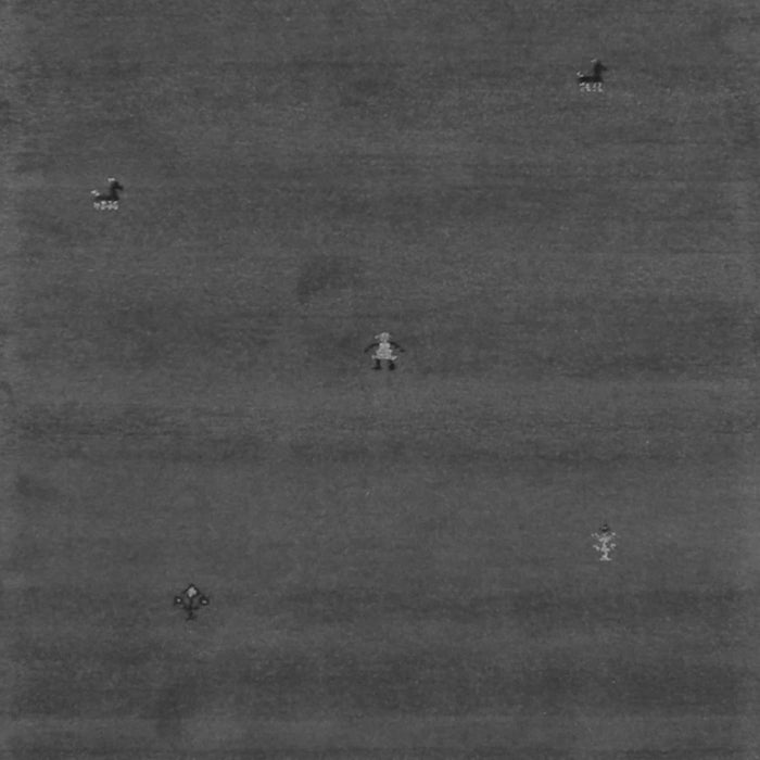 Abstract Gray Contemporary Rug, con1816gry