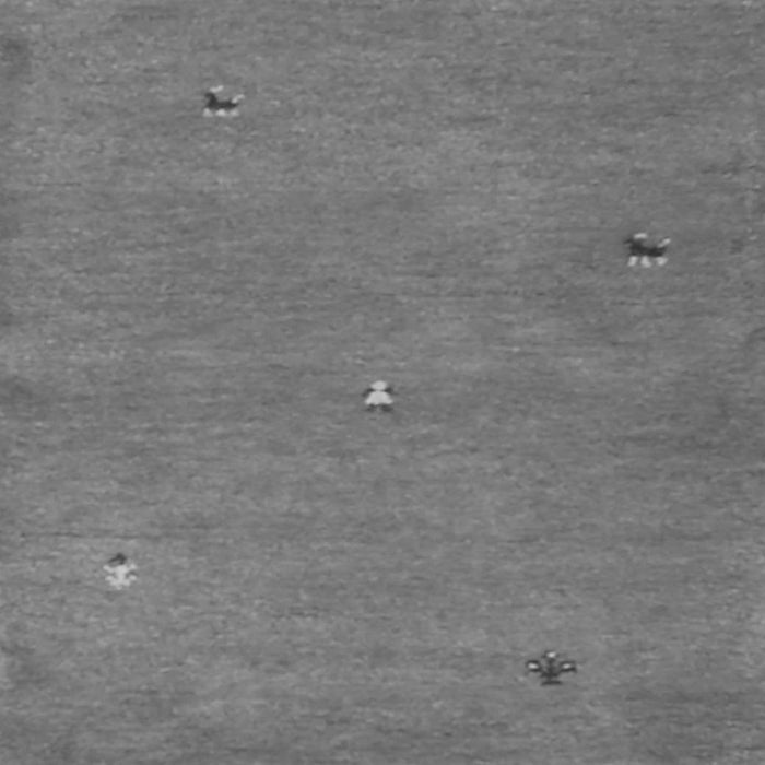 Serging Thickness of Machine Washable Abstract Gray Contemporary Rug, wshcon1817gry