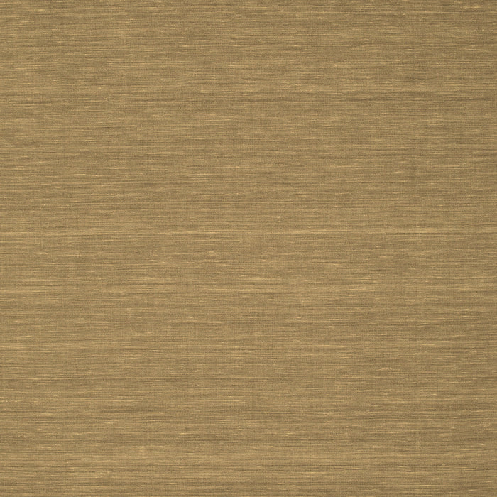 Abstract Brown Contemporary Rug, con181brn