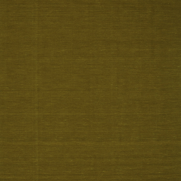 Abstract Green Contemporary Rug, con183grn