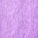 Square Abstract Purple Contemporary Rug, con1843pur