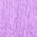 Square Abstract Purple Contemporary Rug, con1848pur