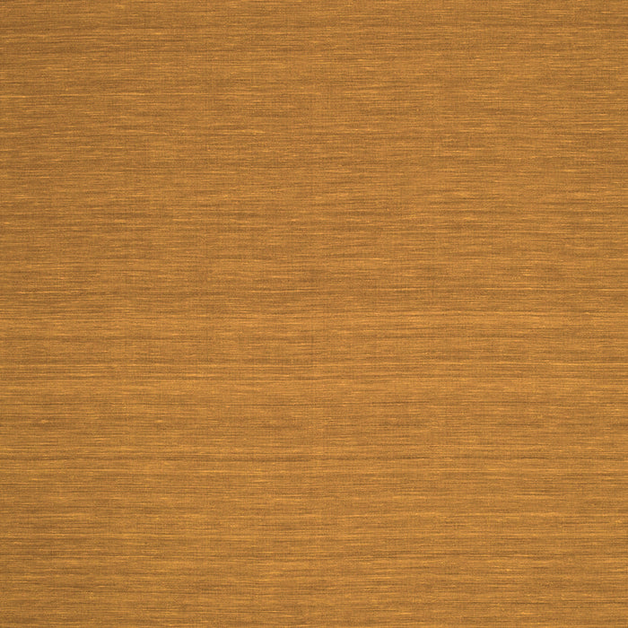 Abstract Orange Contemporary Rug, con184org