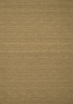Abstract Brown Contemporary Rug, con184brn