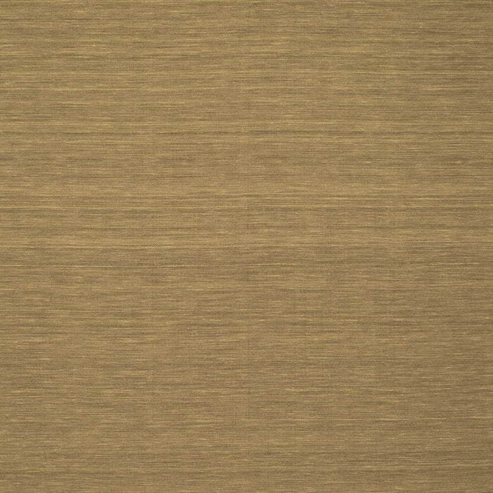 Abstract Brown Contemporary Rug, con184brn