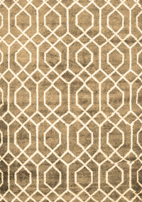 Trellis Brown Modern Rug, con1851brn